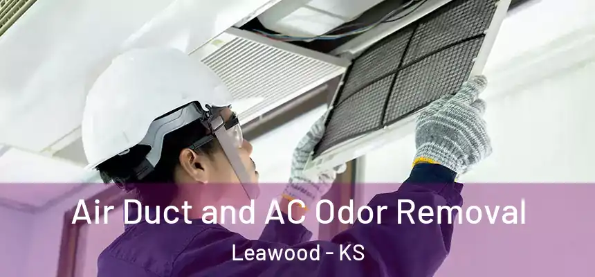 Air Duct and AC Odor Removal Leawood - KS
