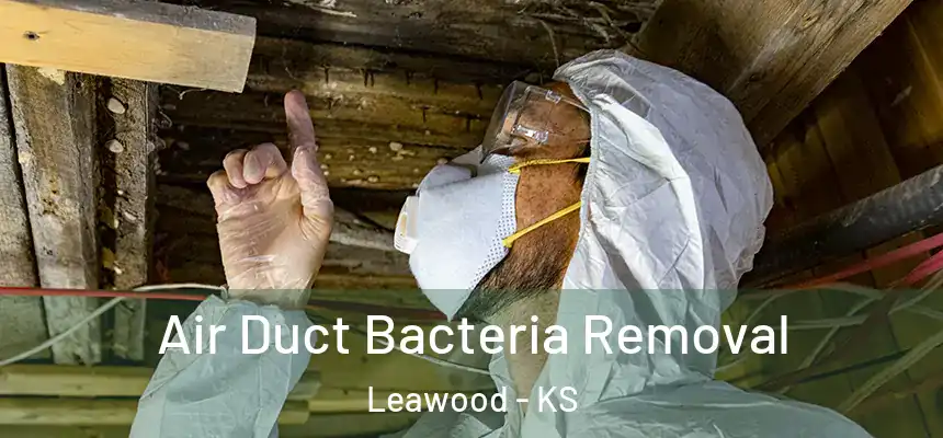  Air Duct Bacteria Removal Leawood - KS
