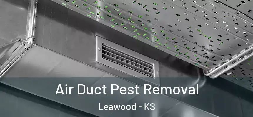  Air Duct Pest Removal Leawood - KS