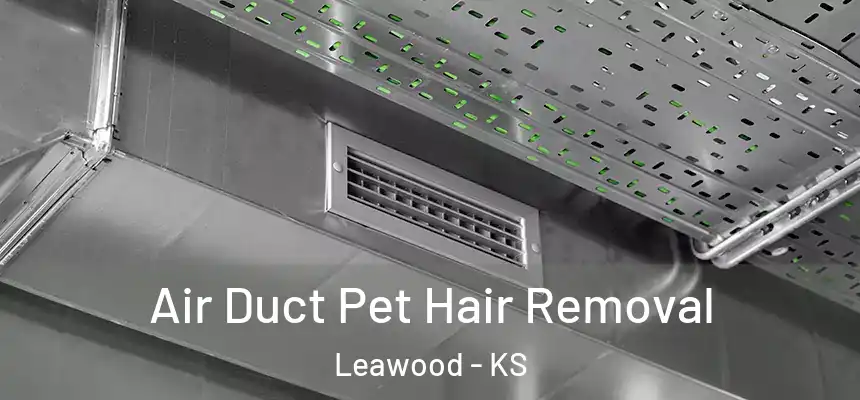 Air Duct Pet Hair Removal Leawood - KS