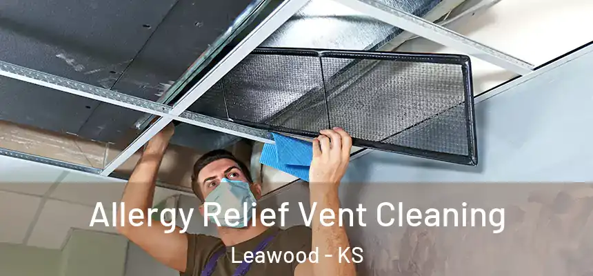  Allergy Relief Vent Cleaning Leawood - KS