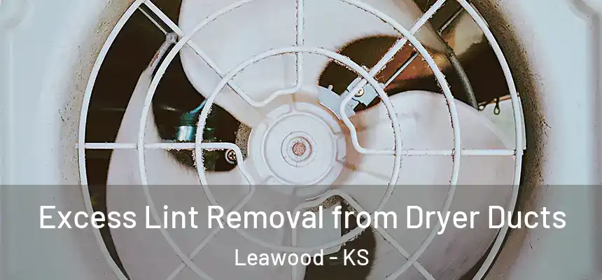 Excess Lint Removal from Dryer Ducts Leawood - KS