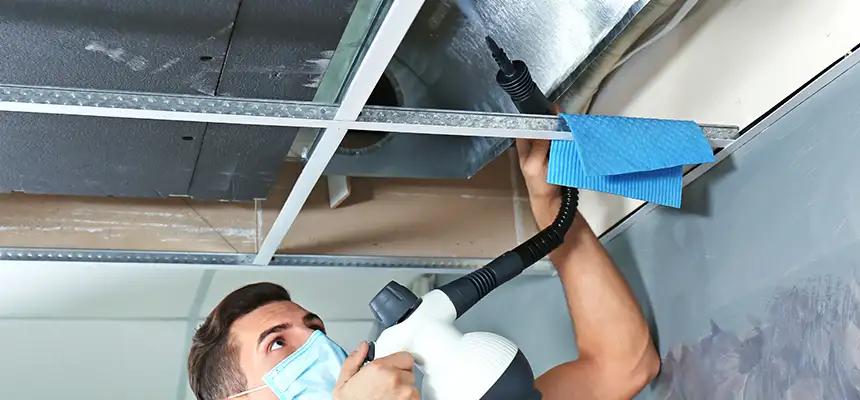 Our Air Duct Rodent Removal Services in Leawood, KS