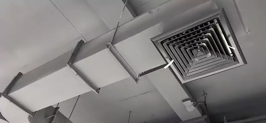 Restorative Allergy Relief Vent Cleaning – Coil, Blower & Housing Detail in Leawood