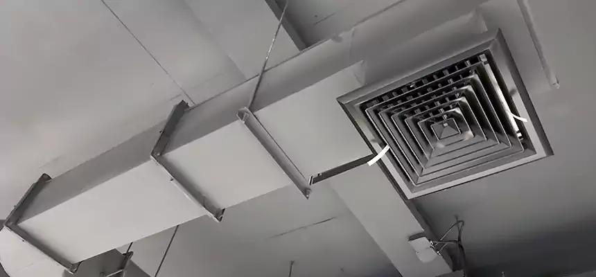 Our Pest Removal From Ducts Services in Leawood, KS