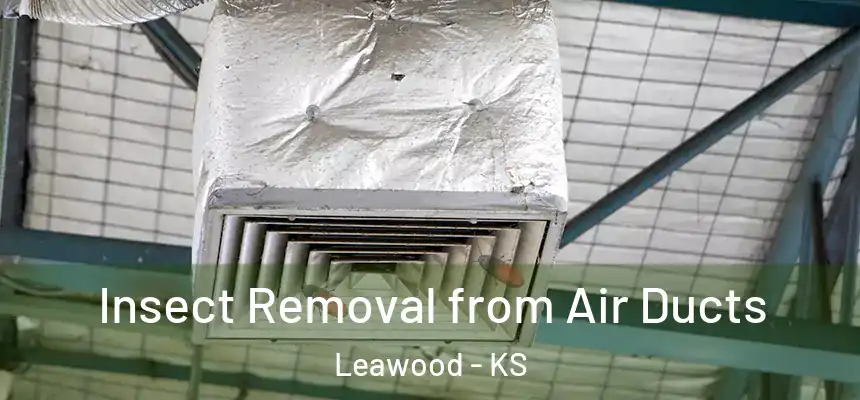  Insect Removal from Air Ducts Leawood - KS