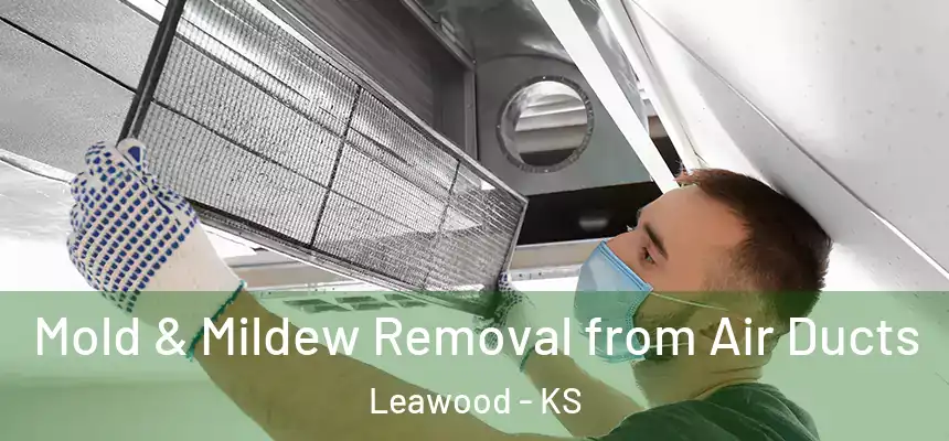  Mold & Mildew Removal from Air Ducts Leawood - KS