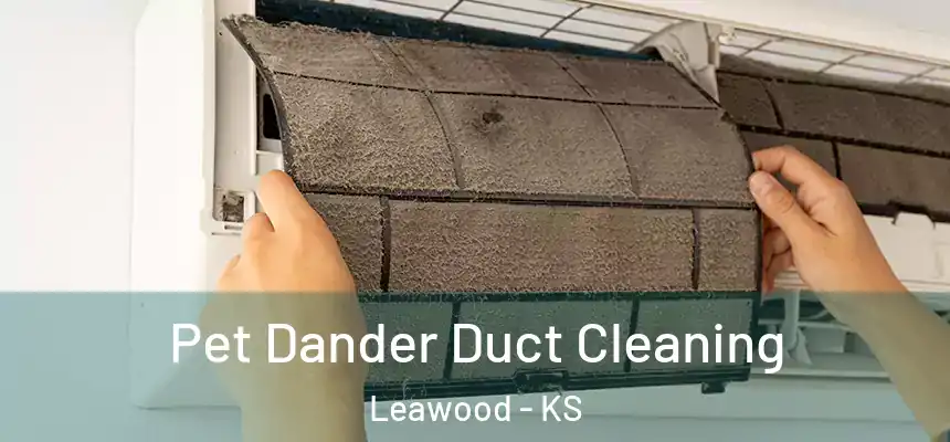 Pet Dander Duct Cleaning Leawood - KS