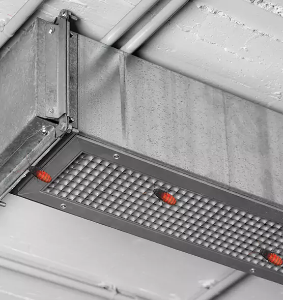 Affordable Insect Removal from Air Ducts in Leawood, KS